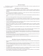 Risk Factors Summary